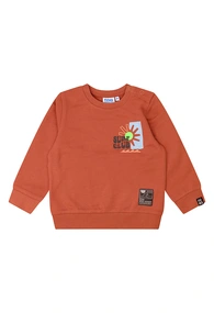 FLINQ baby jongens sweater